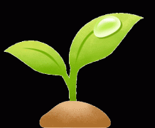 新登利：10万吨级化+92%纯度原料让废纺“永世轮